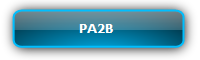 PA2B :: Mini Amplifier(Class D), with MIC mixer เครื่องขยายเสียงคลาสดีขนาดเล็ก พร้อมช่องผสมสัญญาณจากไมโครโฟน