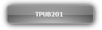 TPUB201  :::  ชุดเครื่องส่งและรับสัญญาณ USB 4x1